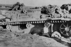 Sturmpanzer_III_Afrika_Korps