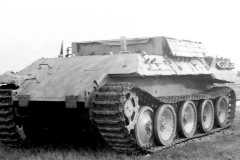 Bergepanther