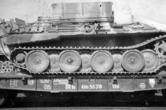 Bergepanther_train