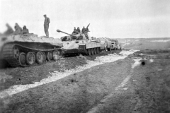 Bergepanzerwagen_Panther