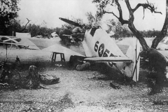 Bf109D_Condor