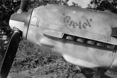 Bf109E_Gretel