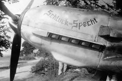 Bf109E_JG_3_Schluck_Specht