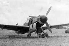 Bf109F_JG_53_russia