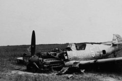 Bf109_E_JG2_Richthofen_white_5_