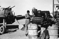 Bf109_F-4_trop._5.JG_27_engine_1941