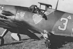 Bf109_yellow_3_JG54_9_staffel_grun_herz
