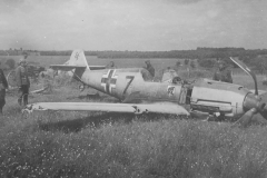 Bf_109E_7_II-JG_54