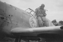 Bf_109_fighter_Staffelwappen_JG_137