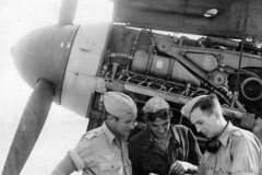 Engine_Messerschmitt_Bf109_F_5.JG_27_Afrika_1942