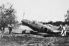Legion_Condor_Messerschmitt_Bf109_D