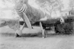 camouflaged_Messerschmitt_Bf_109