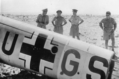 Bf110_Africa