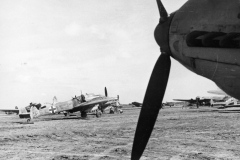 Bf110_SL-IC