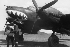 Bf_110C_D5-DT_9NJG_3