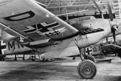 Bf_110E-2N_with_DB_601N_engines