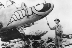 RAF_Officer_by_Bf110_of_ZG_1_1943