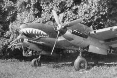 ZG76_Bf110_with_sharks_mouth_nose_art_1940
