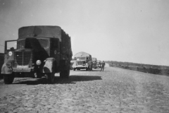Bussing_NAG_500_2