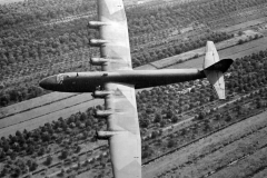 BV222_v1