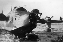 BV_222C-010