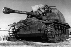 Dicker_Max_Stalingrad