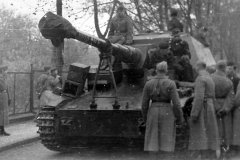 Dicker_Max_and_521_schwere_Panzerjager_Abteilung_soldiers_photo