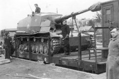 Dicker_Max_being_transported_on_rail_car