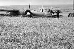 Do17_Z_after_crash_landing