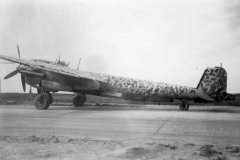 Do217M
