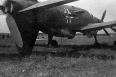 Do335