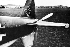 Do_335_tail