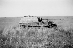 Elefant_102_Ulbricht