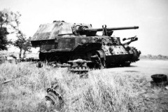 Elefant_112_Anzio_653
