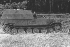 Elefant_4