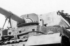 Elefant_653spzj