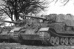 Elefant_Nibelungenwerke_44