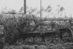 Elefant_Panzerjager_Sdkfz_184_Caen_Normandy_1944