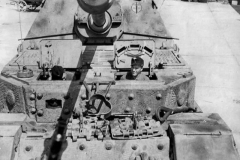 Elefant_St_Polten_1944
