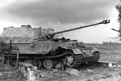Elefant_april_1944_Italy
