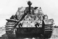 Ferdinand_501_624spzjgabt