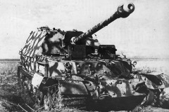 Ferdinand_501_656EF
