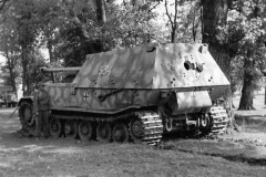 Ferdinand_534_656spz_EF