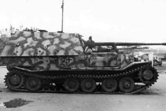 Ferdinand_624_656EF