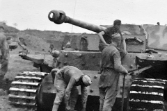 Ferdinand_653abt_kursk