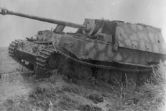 Ferdinand_723_Busch
