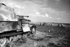 Ferdinand_Elefant_Tank_Destroyer