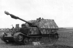 Ferdinand_Number_623