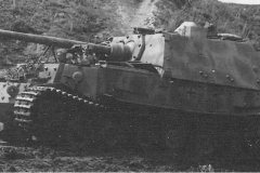 Ferdinand_Panzerjager_Sdkfz_184