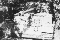 Panzerjager_Tiger_P_Elefant